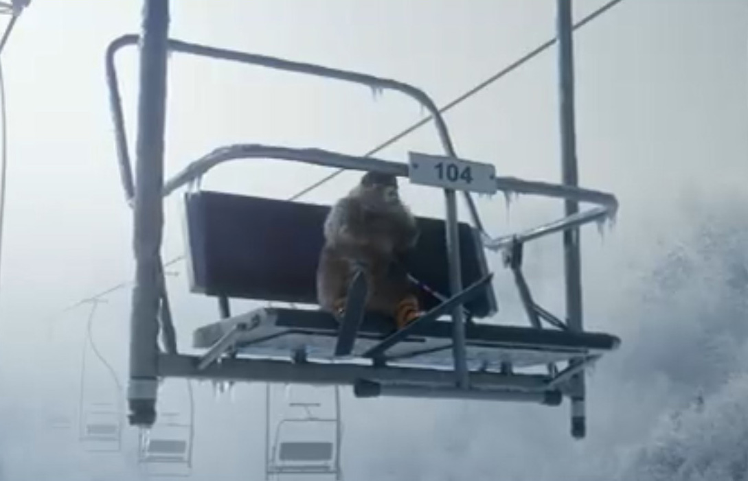 Marmottes font du ski