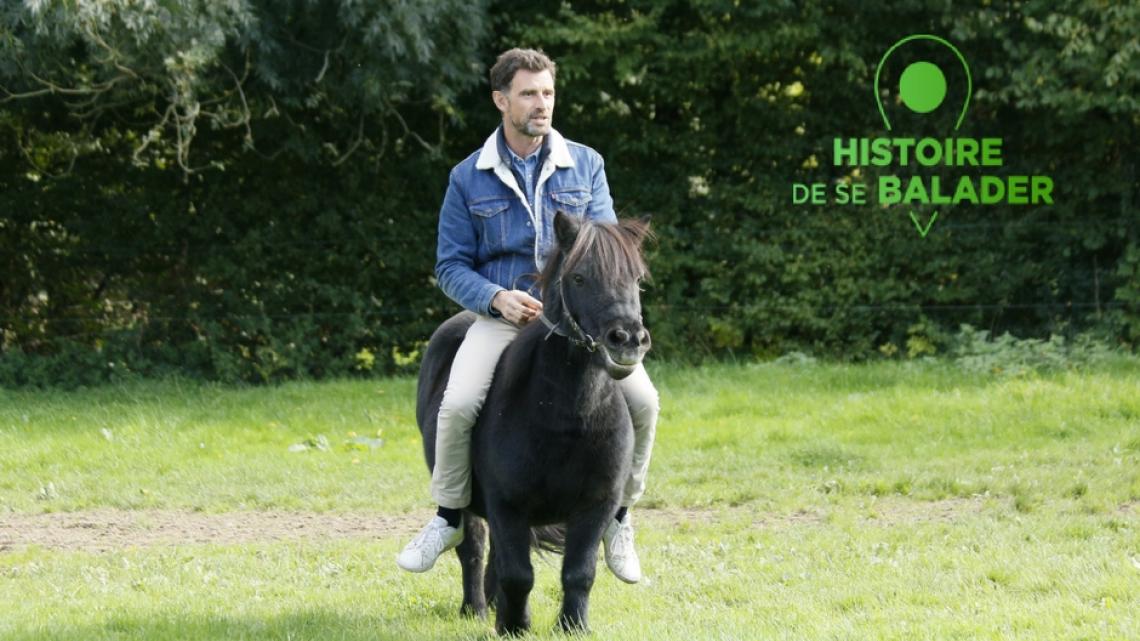 HDSB - chevaux