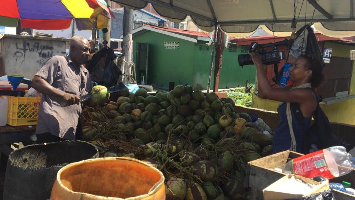 Magazine Caraïbes : culture de noix de coco au Guyana