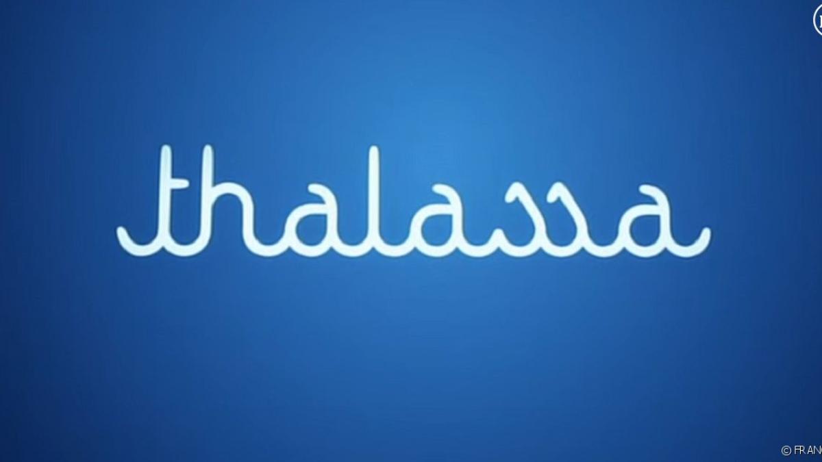 émission thalassa 