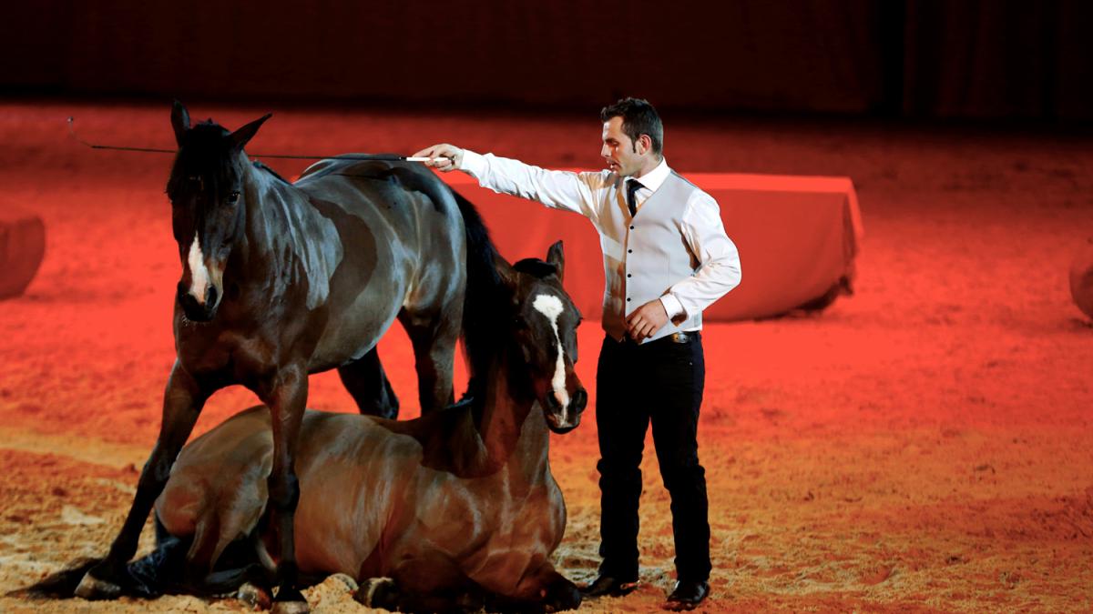 Cheval Passion @Rey