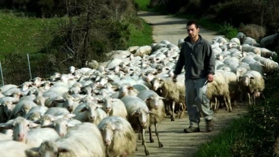 Pierre-Jean Luccioni s'intéresse au pastoralisme en Sardaigne, ce mercredi 13 mars à 21h40 dans "Tempi Fà, Tempi d'Oghje"
