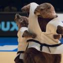 Marmottes judo