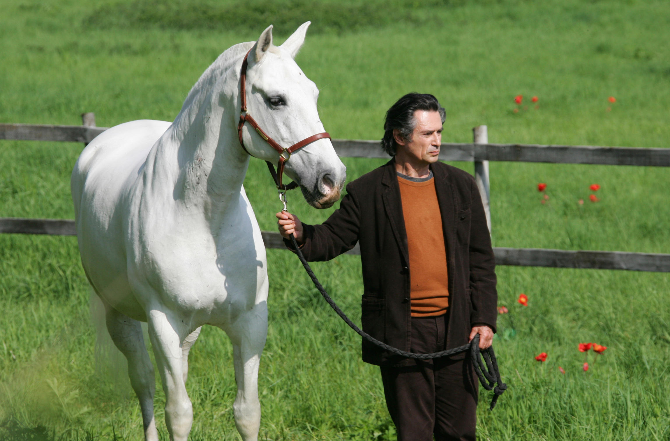 Film Danse Avec Lui DANSE AVEC LUI | FranceTvPro.fr