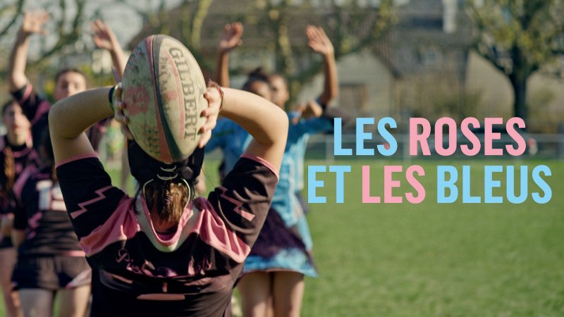 Les roses et les bleues