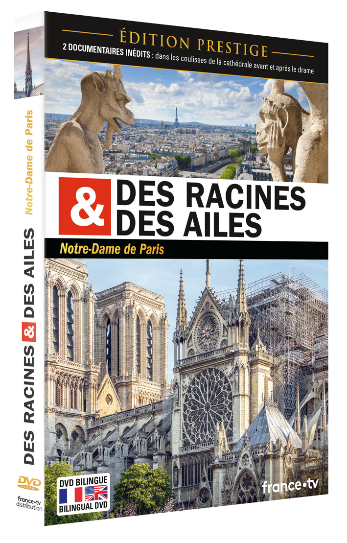 Visuel Des Racines et des ailes Notre Dame