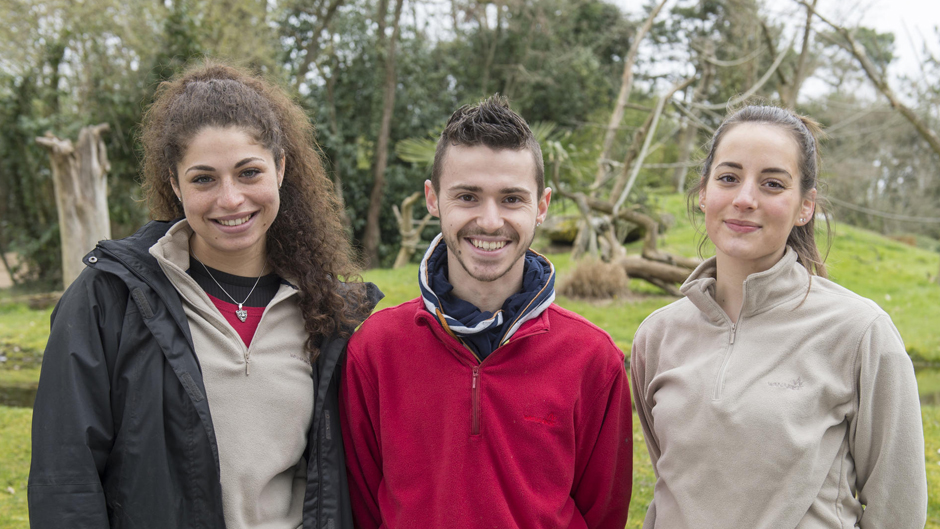 les nouveaux stagiaires