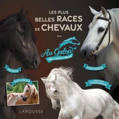 Au galop es plus belles races de chevaux