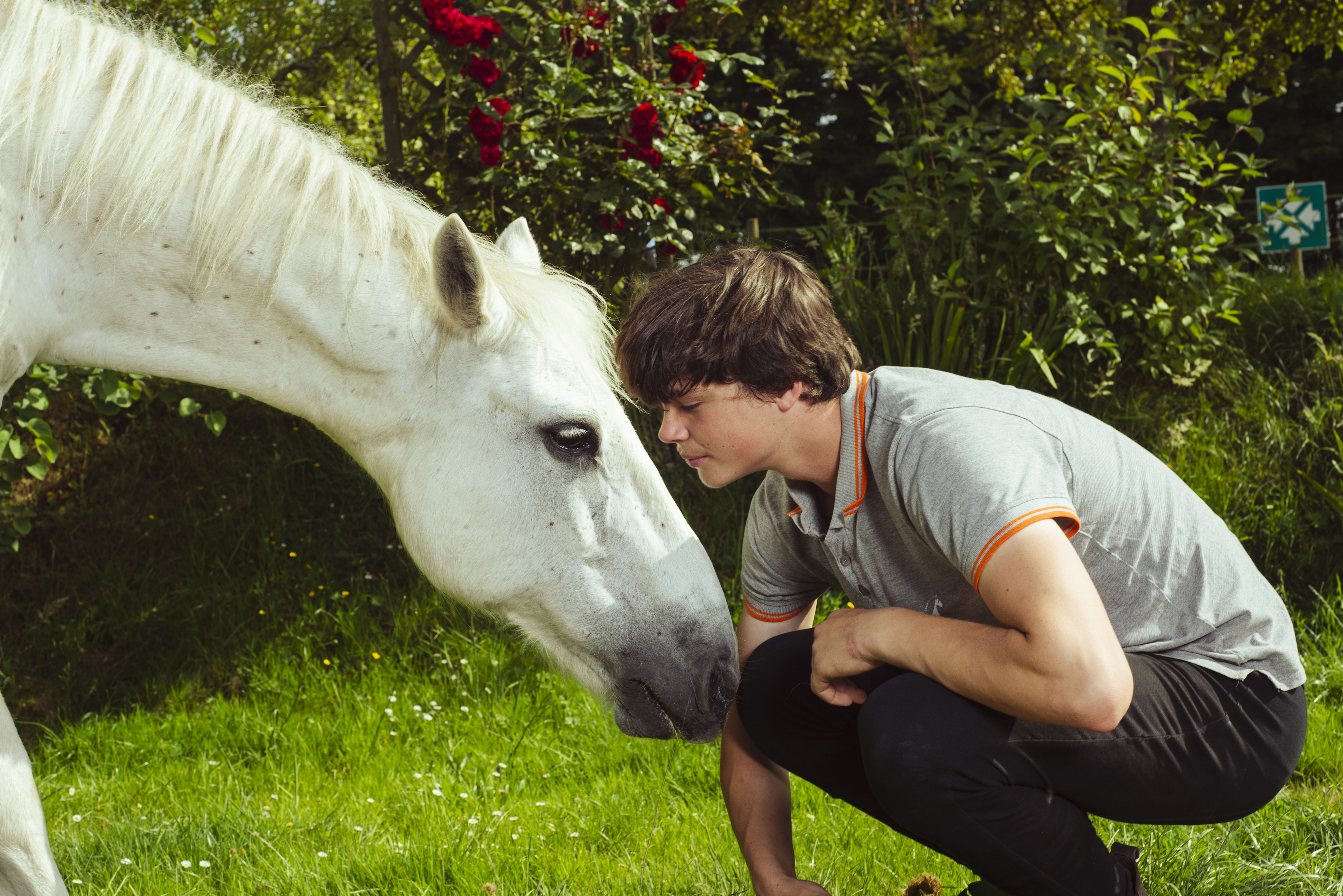 Au Galop