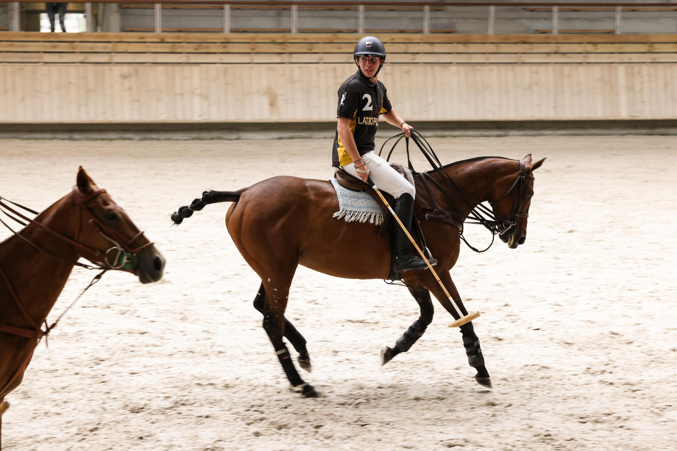 Au galop saison 2