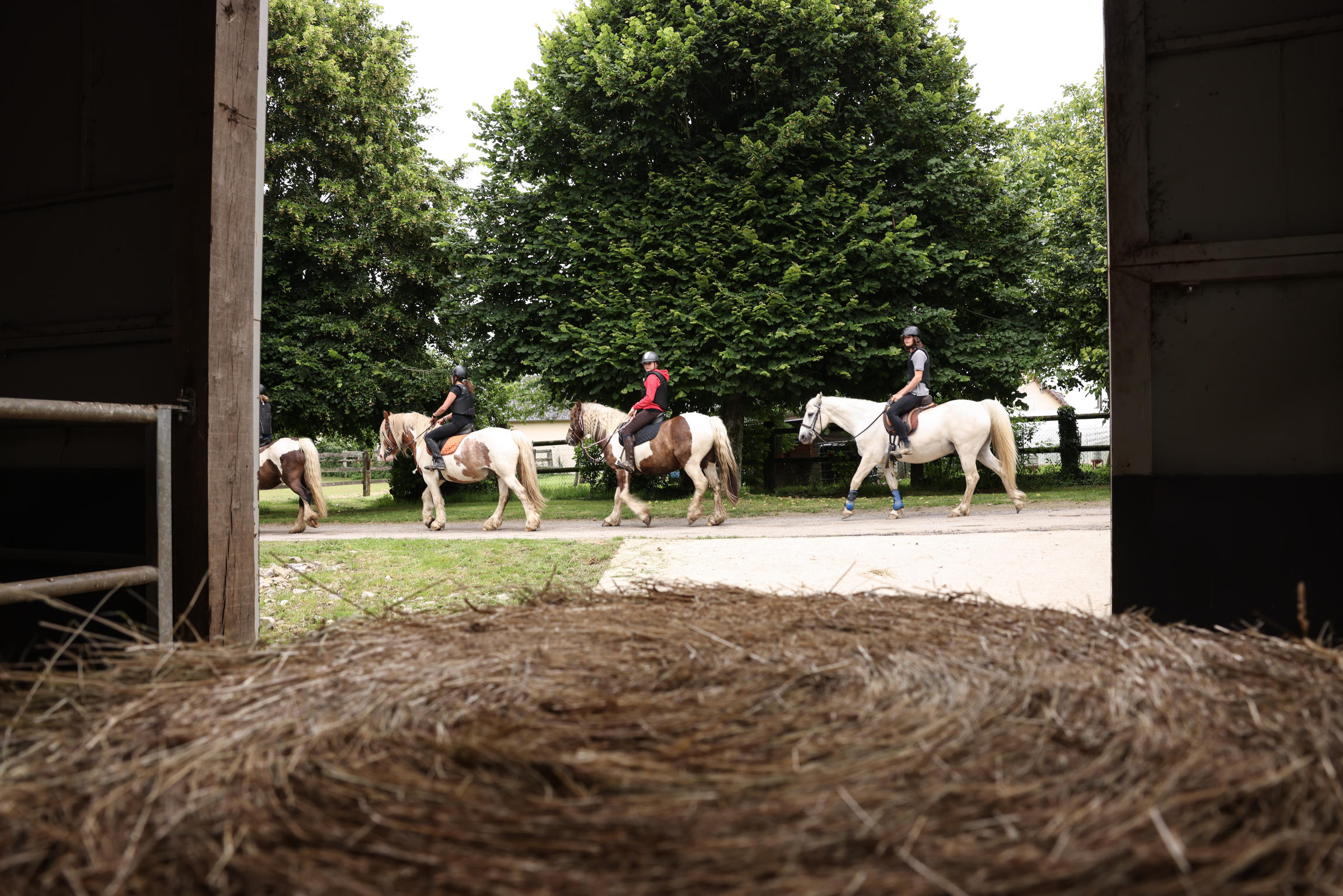 Au galop saison 2