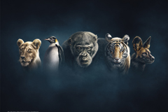 Dynasties