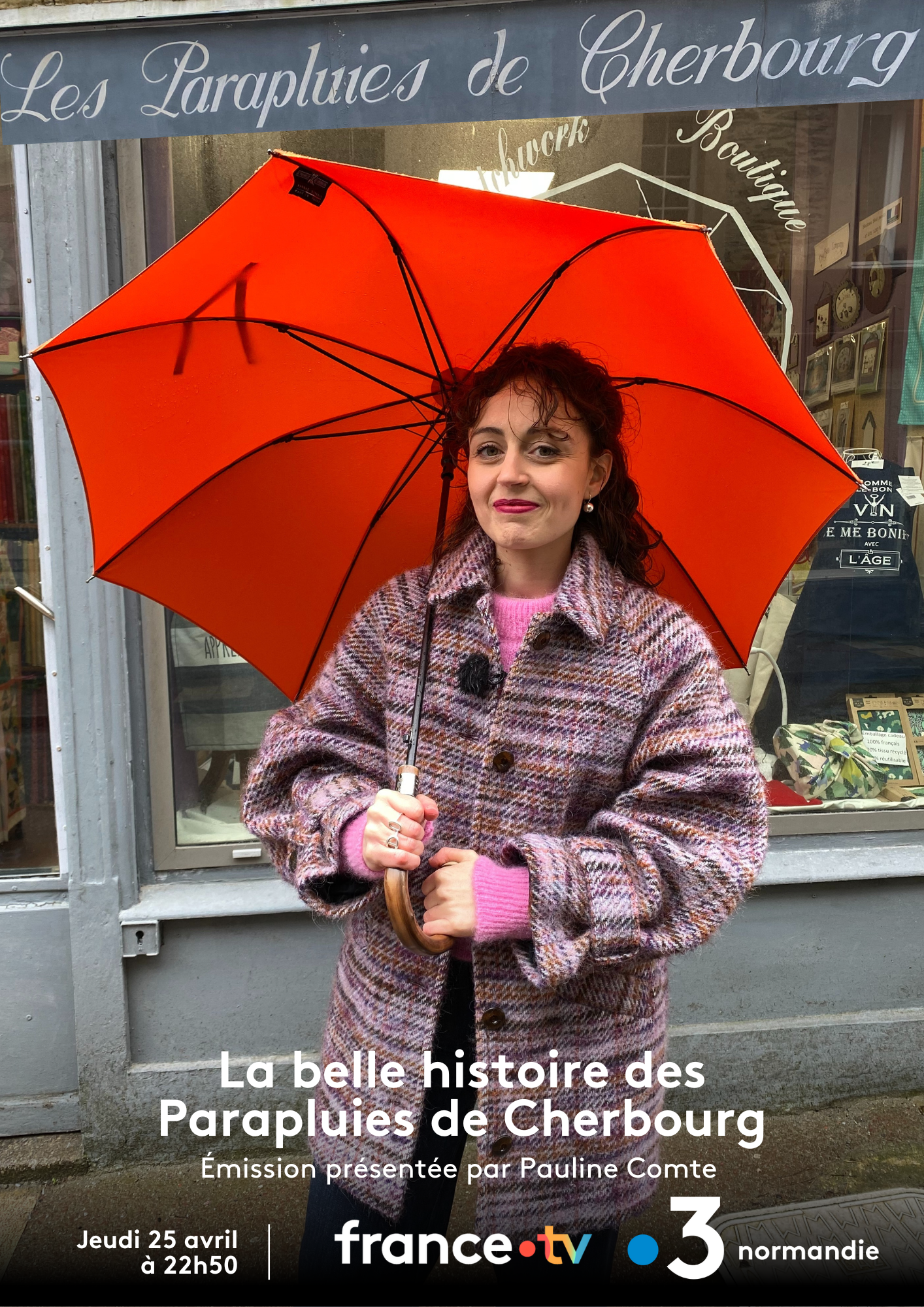 Affiche la belle histoire des parapluies de Cherbourg