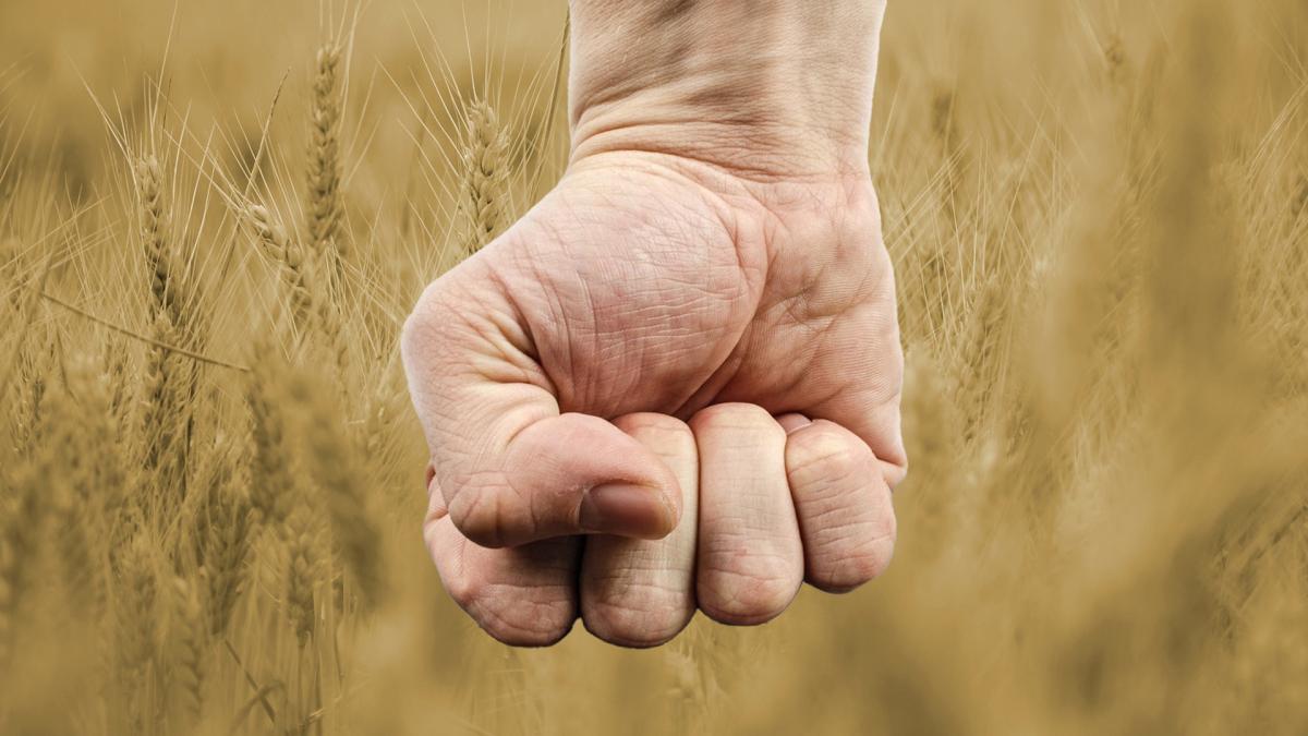 Agriculture - Bourgogne