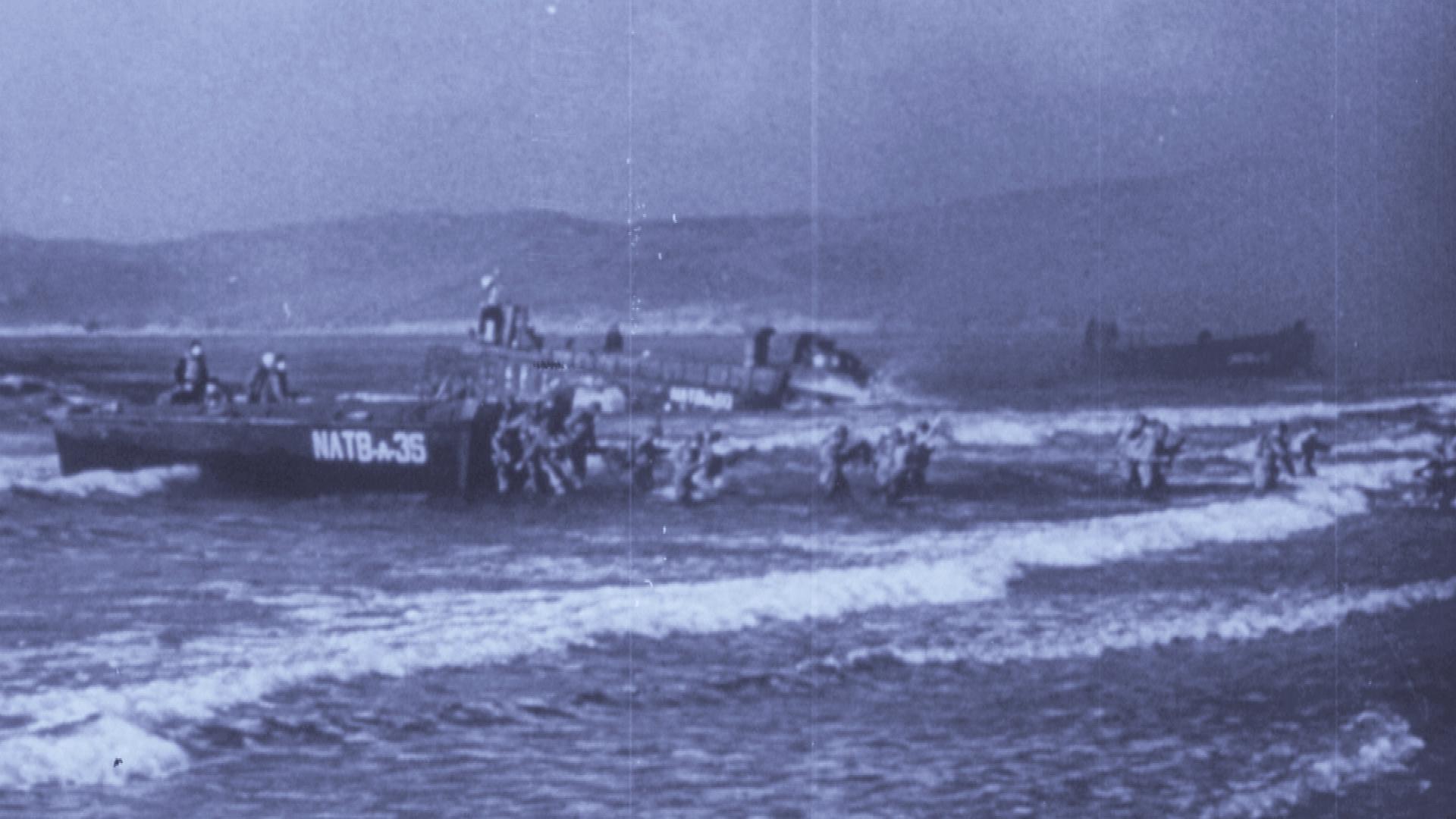 Berry été 44