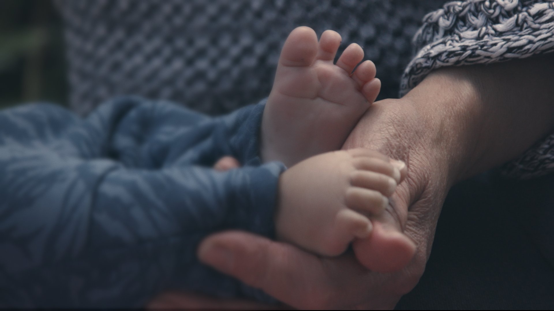 Bébés placés