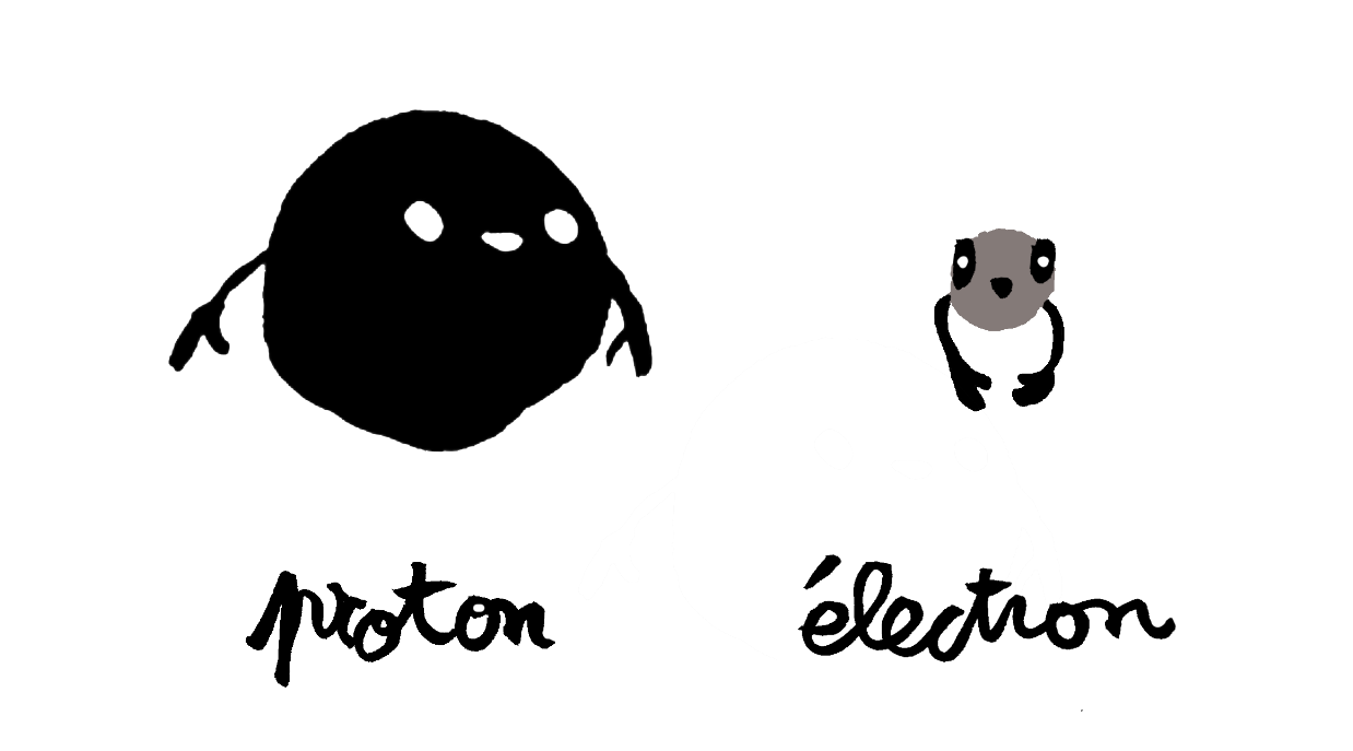 Proton et électron
