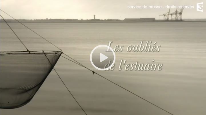 Les oubliés de l'estuaire