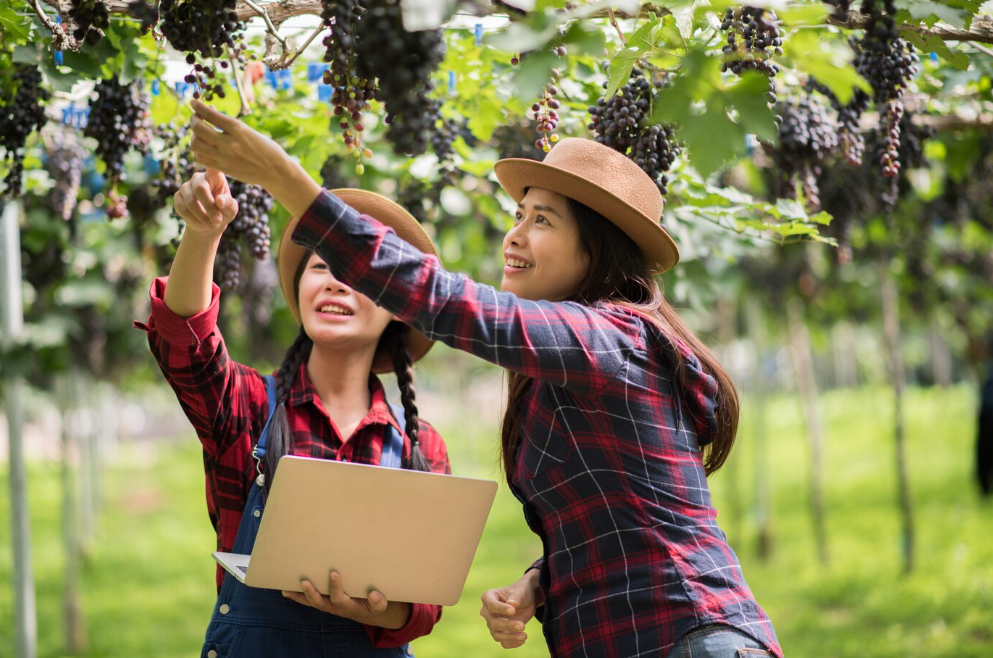 femmes vigneronnes - EDR octobre   