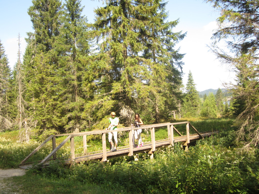 Chemin de randonnée