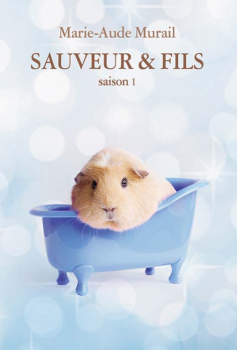 Sauveur & Fils - saison 1 - couverture