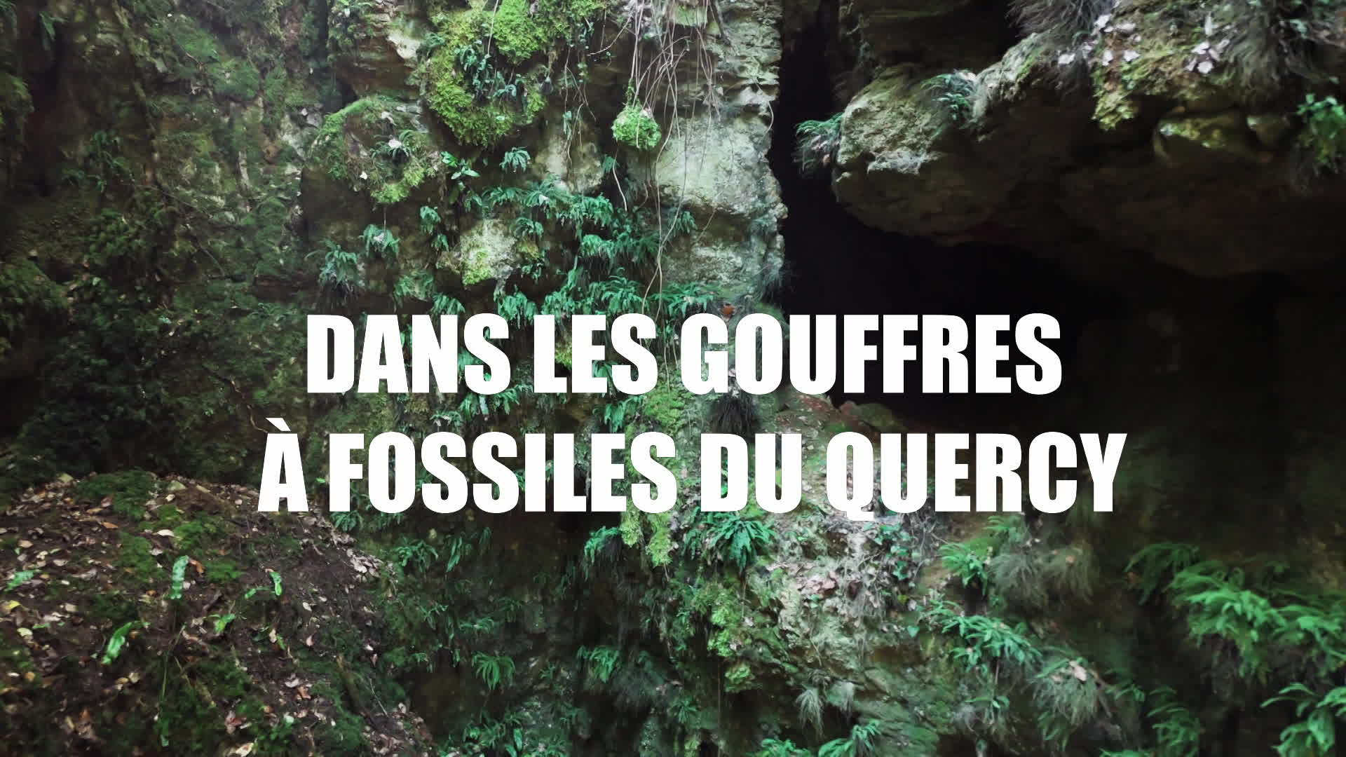 Dans les gouffres à fossiles du Quercy