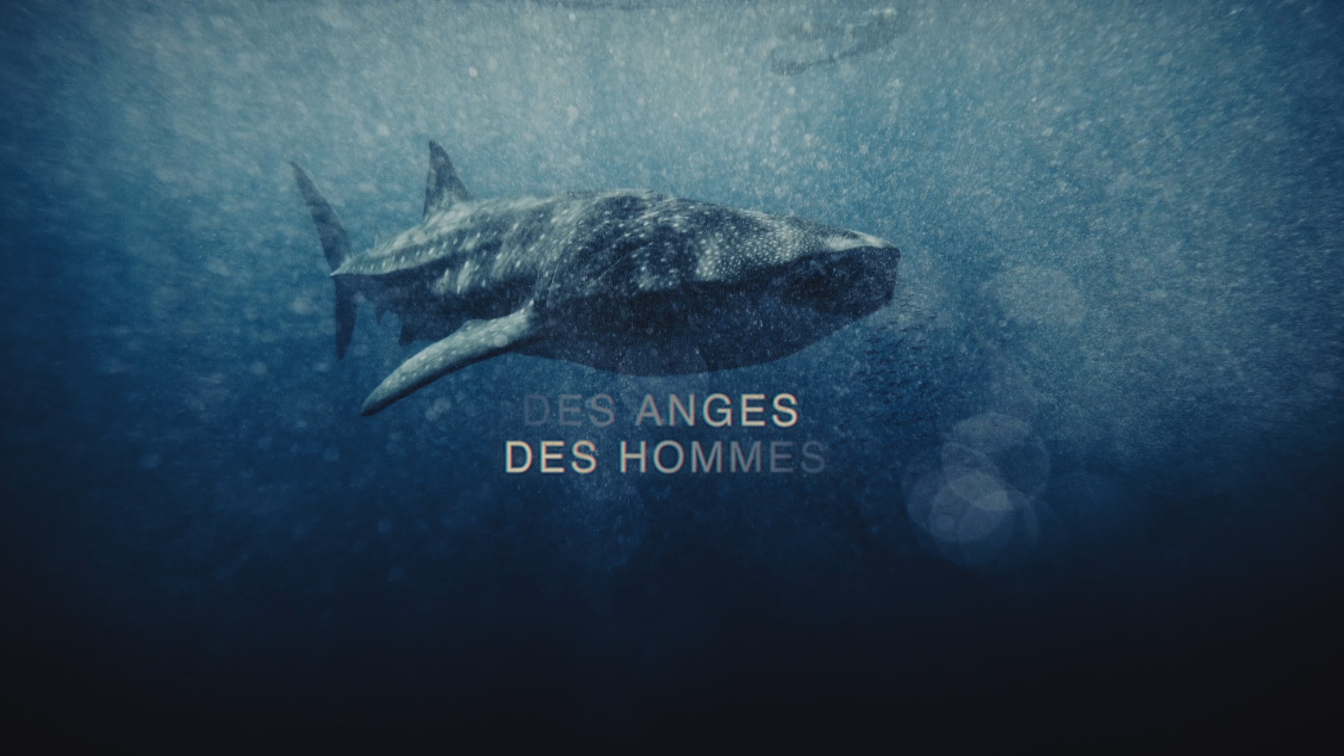 des anges des hommes