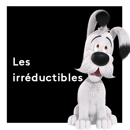 Idefix Les irréductibles - FTV