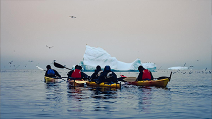 Des pépites et des Icebergs