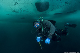 Erwan Amice, la vie sous-marine dans l'objectif