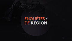 logo edr