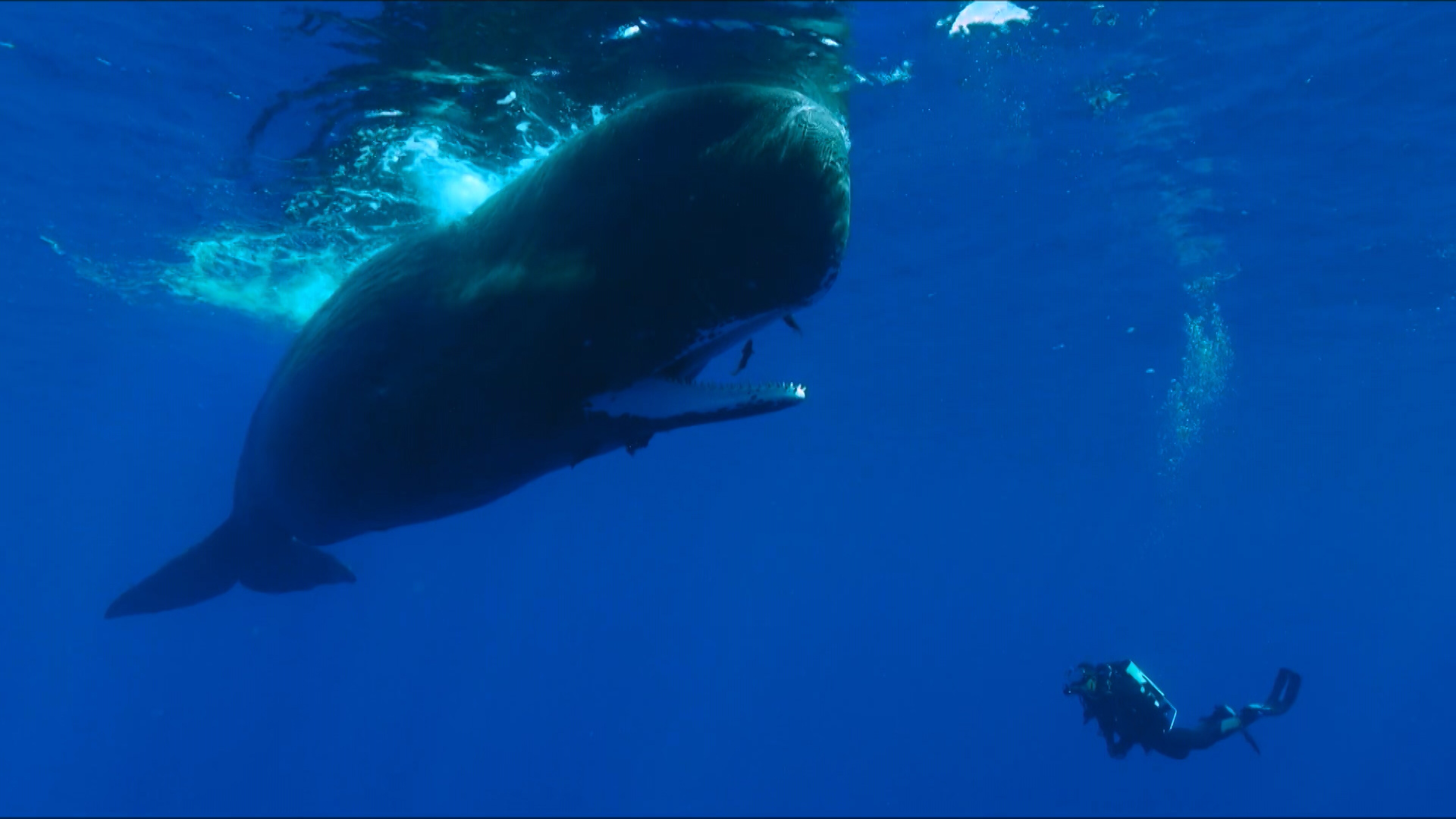 Journée de la Méditerranée