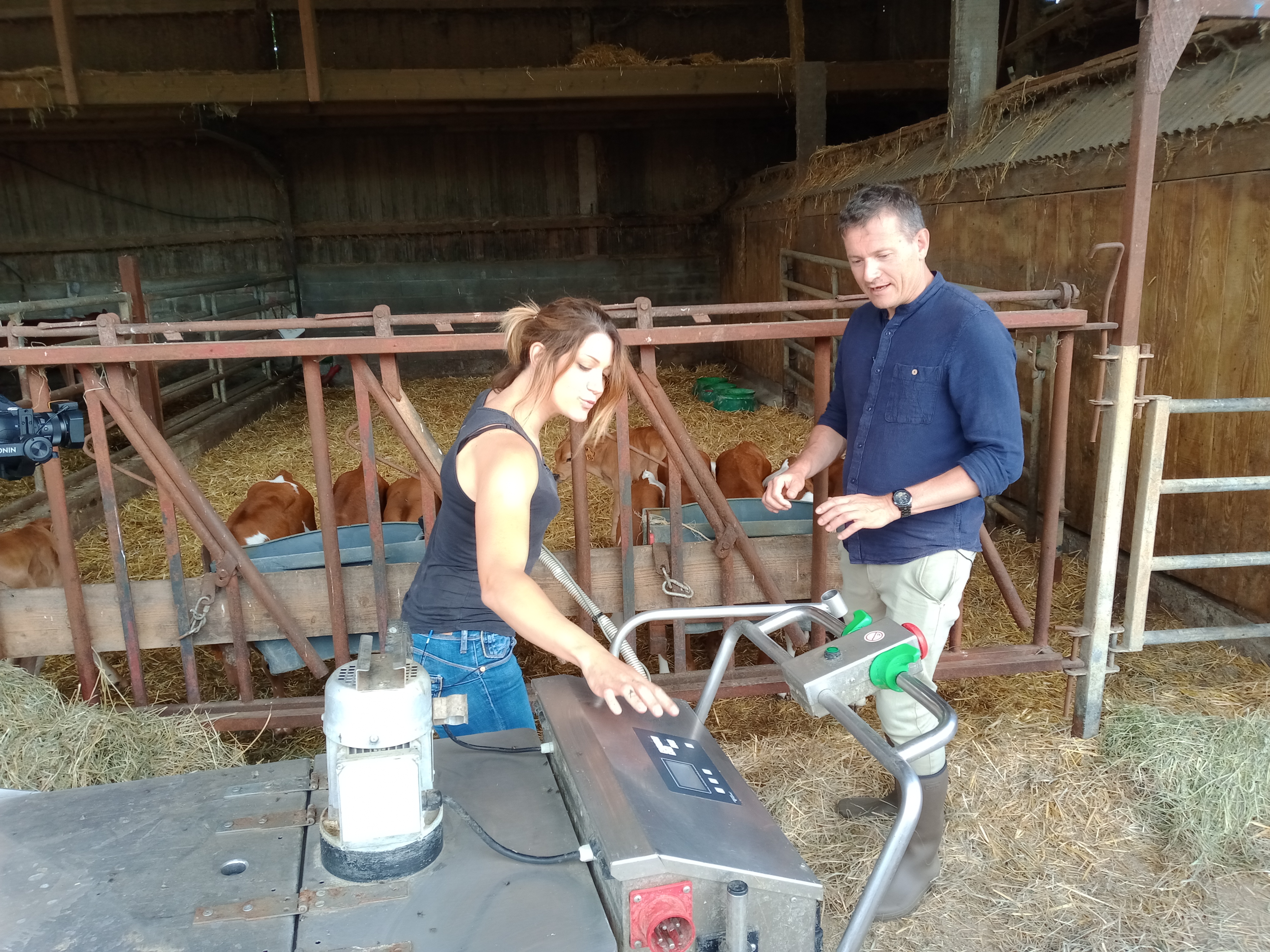 La ferme de They Haute-Saône La tête à l'endroit