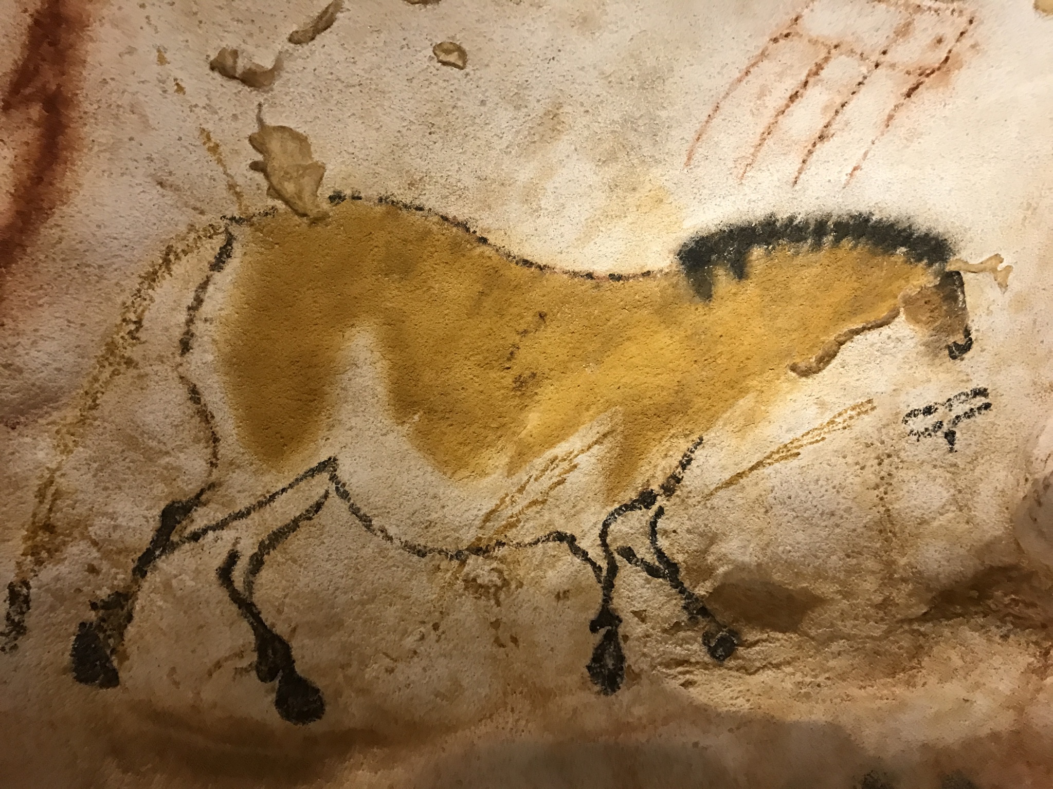 Lascaux grotte