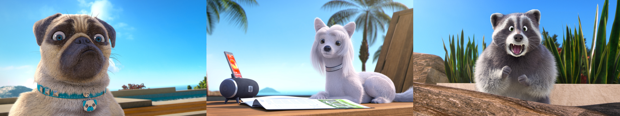 Mike, une vie de chien