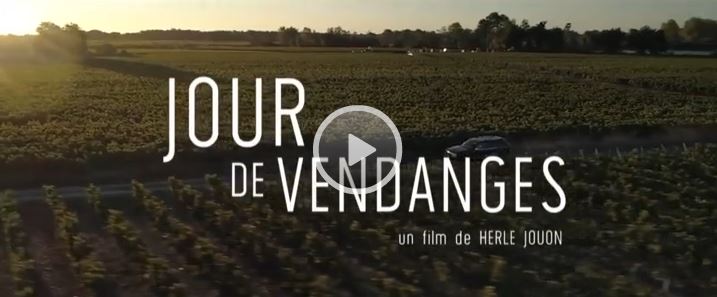 Jour de Vendanges © France 3