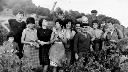 vignerons