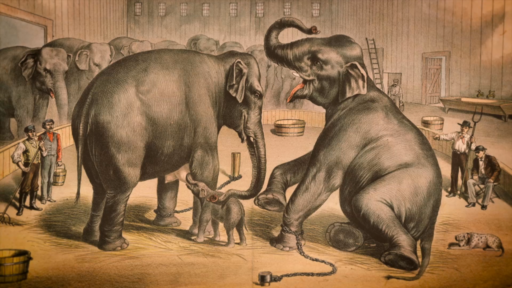 LA TRAGIQUE HISTOIRE DE FRITZ L’ÉLÉPHANT