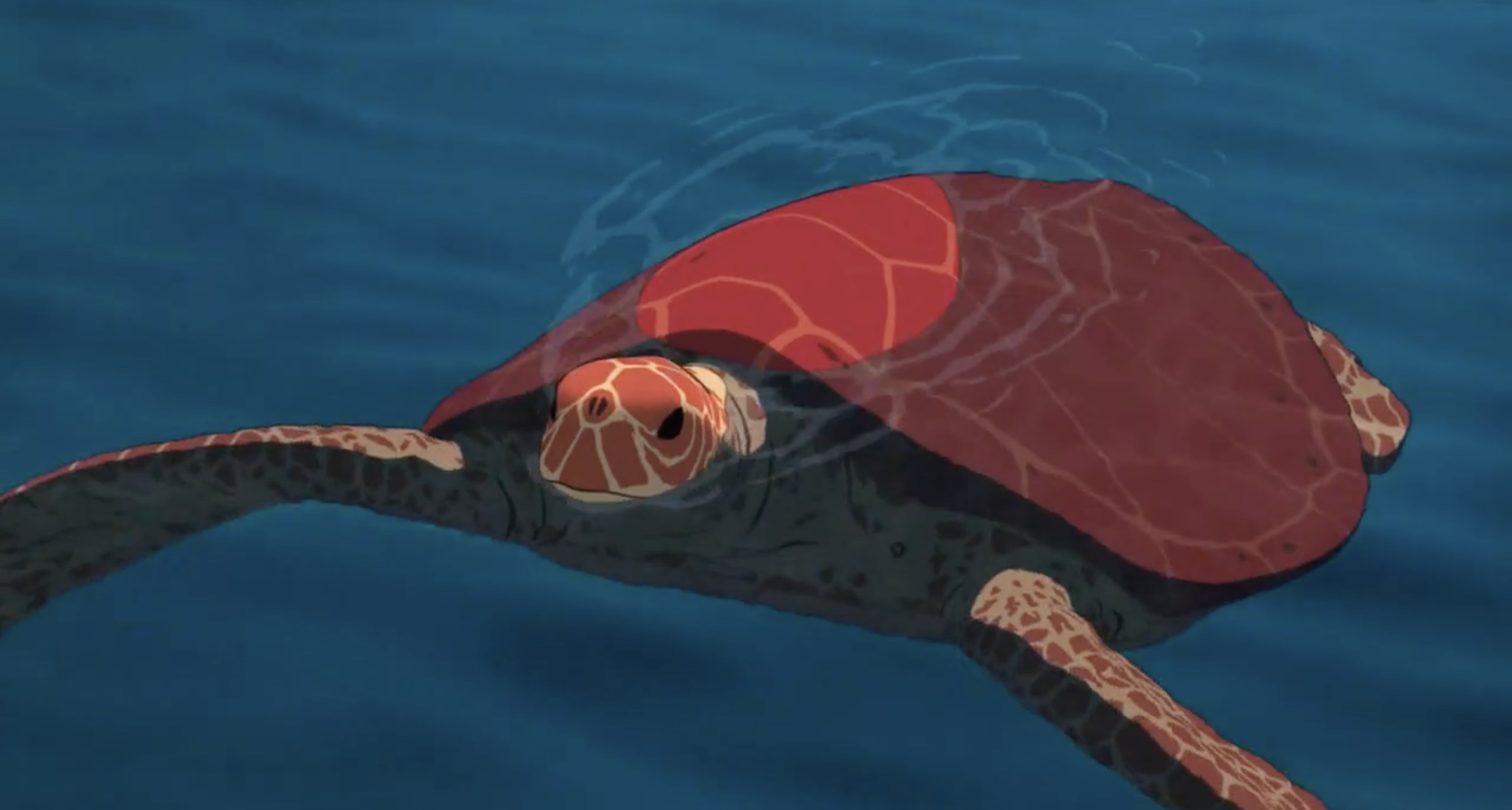 La tortue rouge