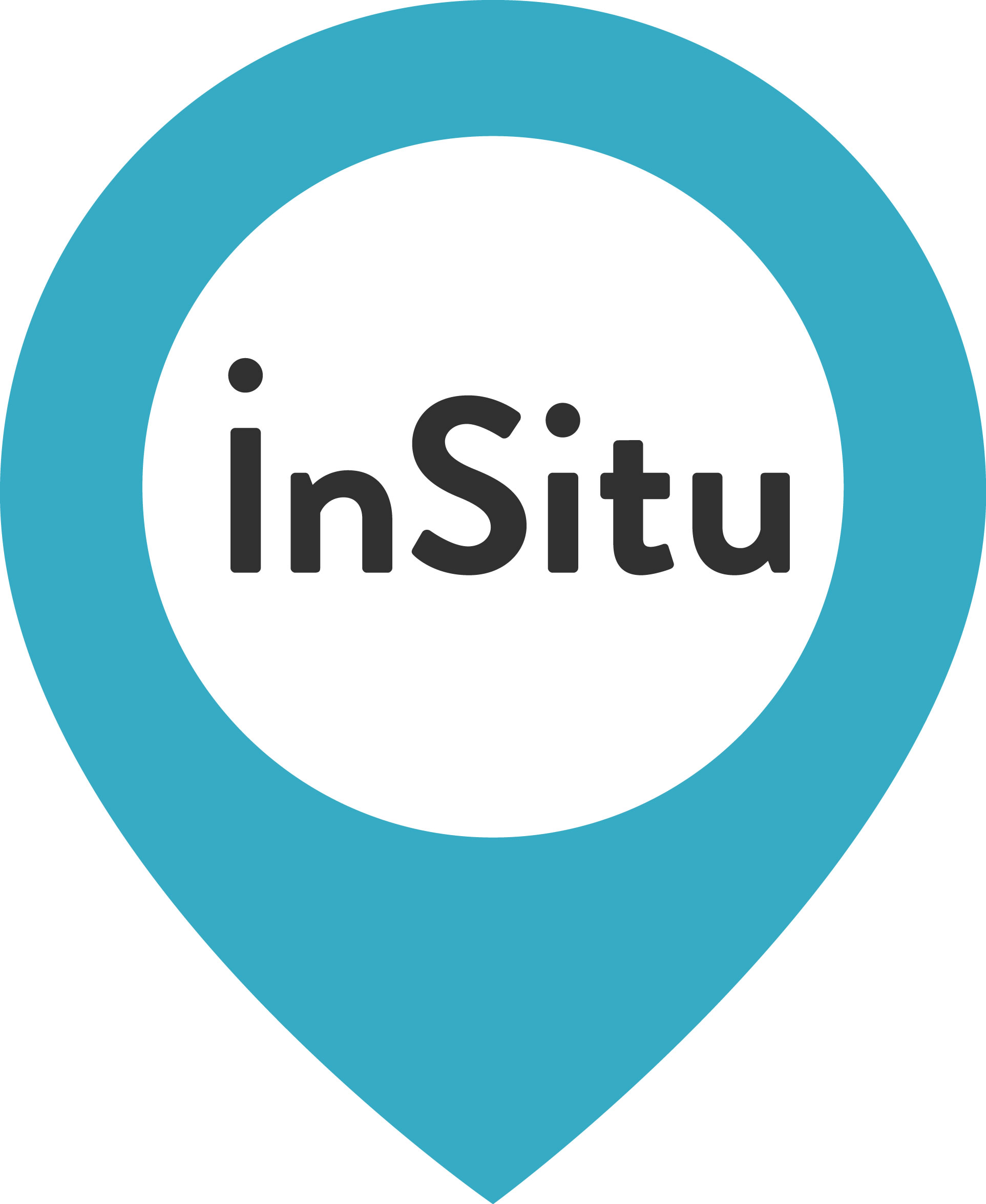 logo IN SITU