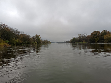 La charité sur Loire, entre eau et forêt