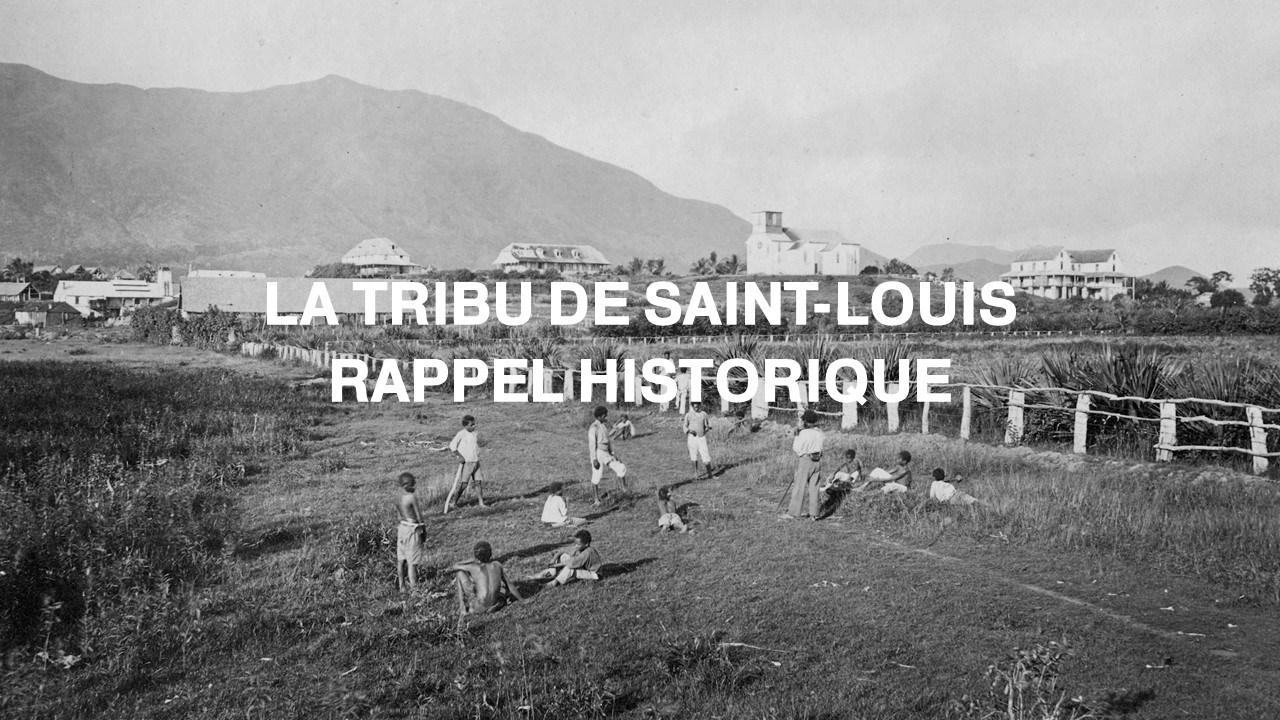 LA TRIBU CALÉDONIENNE RAPPEL HISTORIQUE