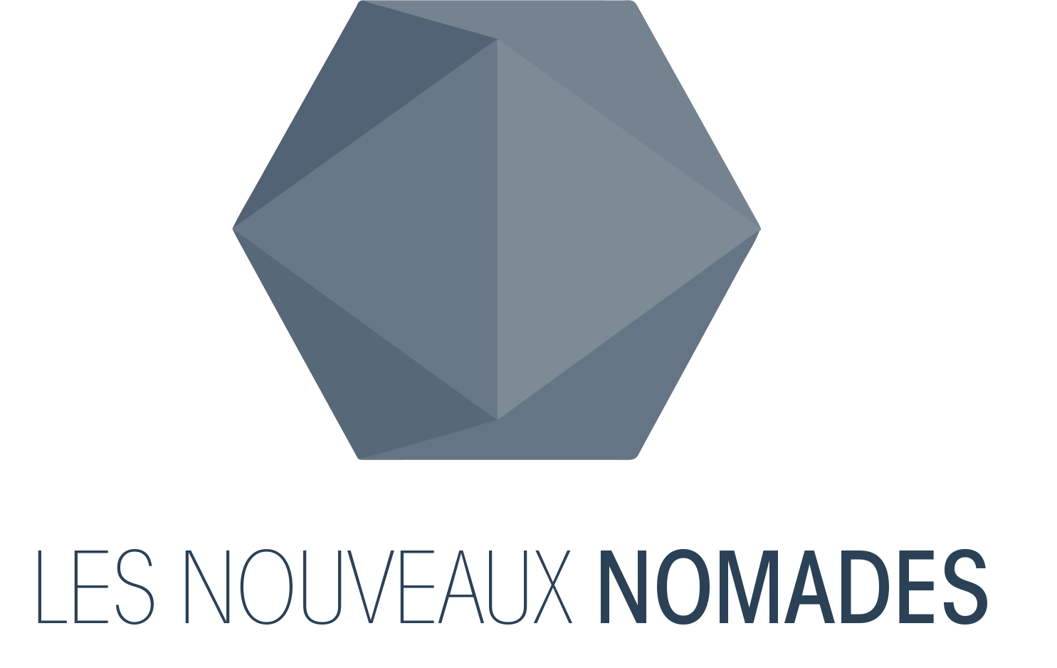 logo les nouveaux nomades