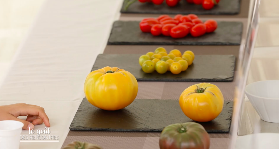 La tomate, un fruit de saison