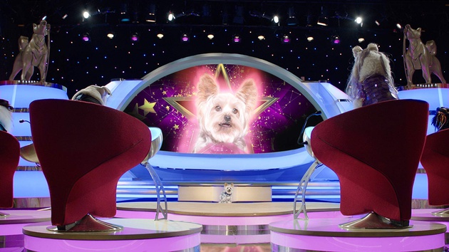Pup Star