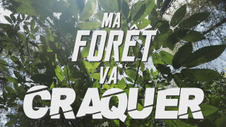 Ma forêt va craquer sur France 3 Centre-Val de Loire