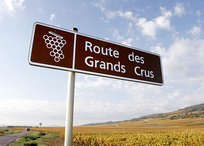 Marathon des grands crus