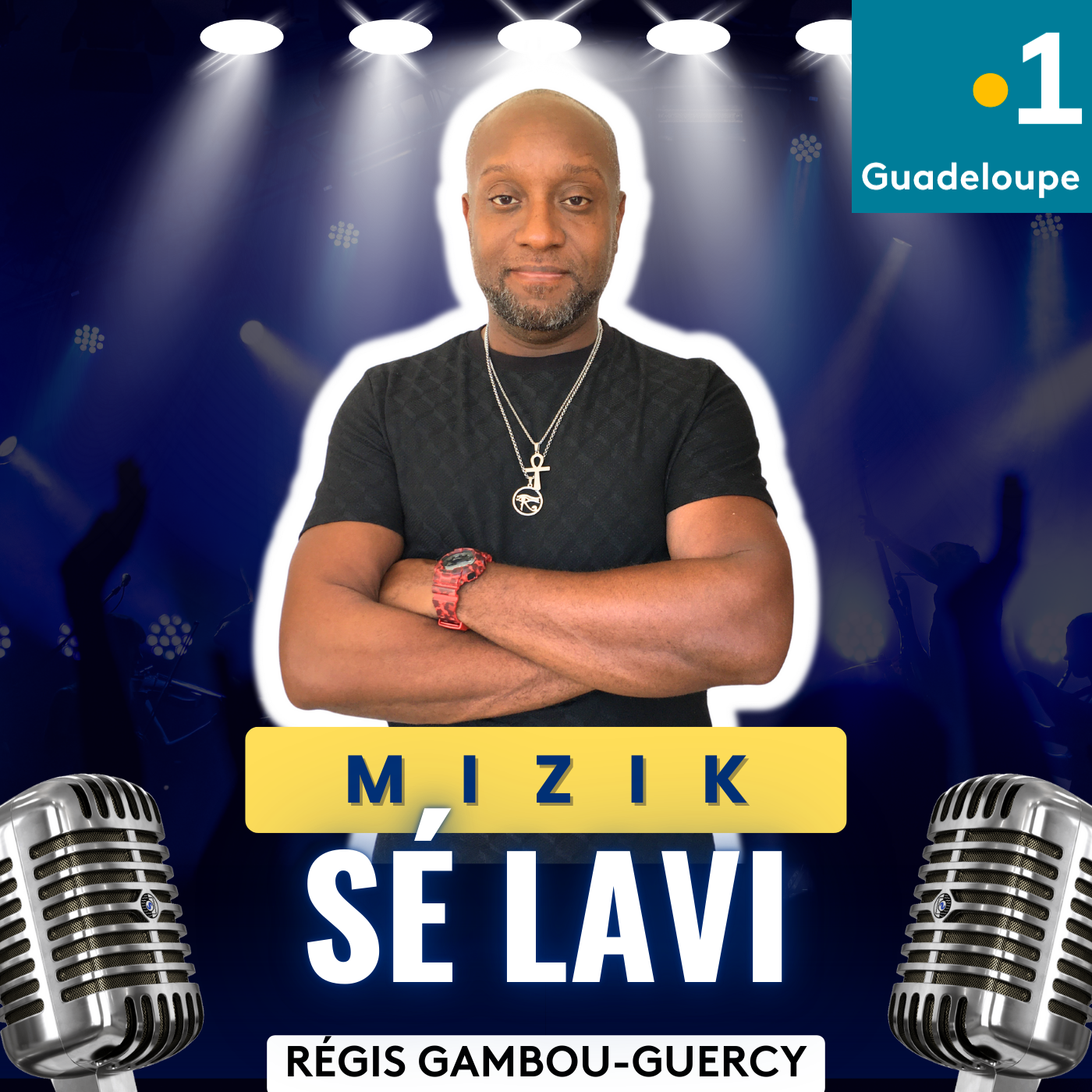 Mizik sé lavi