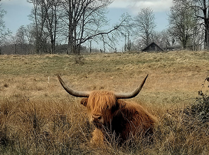 Le Morvan ©Pierre Guigon
