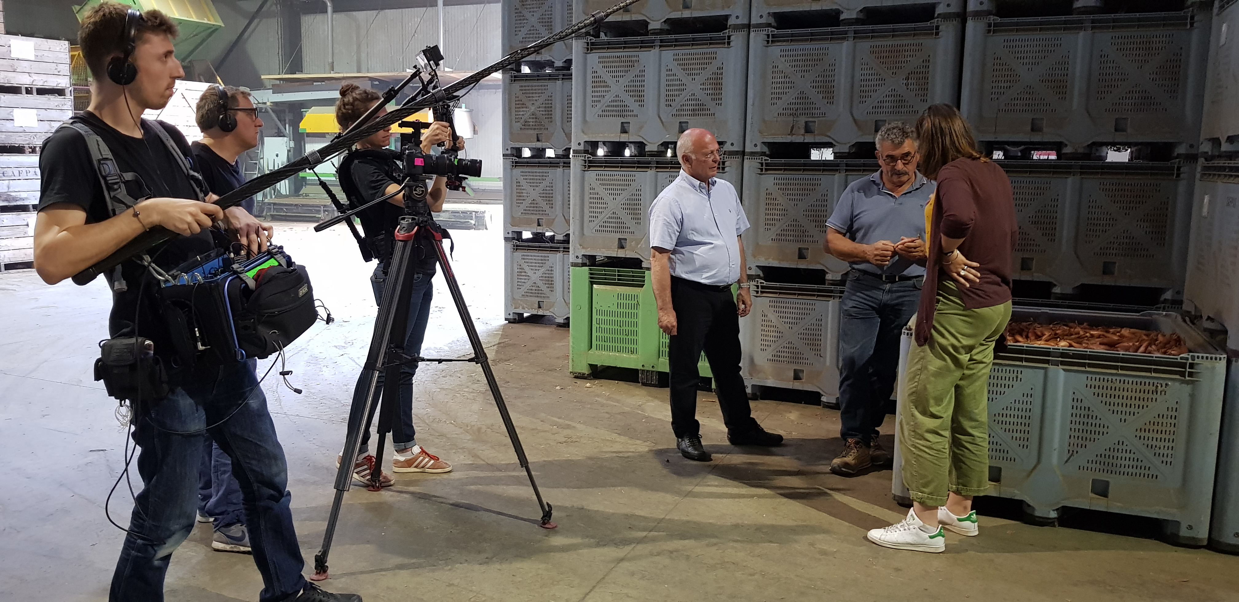 Chez un producteur d'échalion 